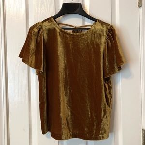 NWT short sleeve velvet blouse
